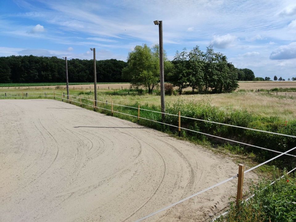 Offenstall / Paddockboxen / Pferdeboxen - zwei Boxen frei in Oelde