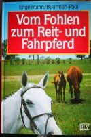 Vom Fohlen zum Reit- und Fahrpferd von Engelmann/Buurman-Paul Baden-Württemberg - Heidelberg Vorschau