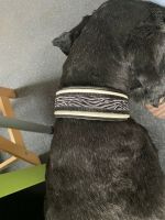 Halsband für Hunde weiß silbern 44 cm Handarbeit - hohe Qualität Baden-Württemberg - Scheer Vorschau