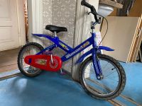 Kinderfahrrad Thüringen - Königsee Vorschau