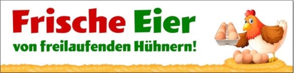 Frische Eier aus Freilandhaltung 10 Stück / 3,50 €. in Tellingstedt