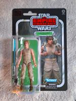 Star Wars the black series Luke Skywalker Dagobah Bayern - Augsburg Vorschau