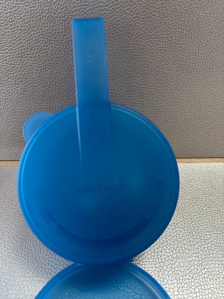 2x Tupperware „vergiss mein nicht Dose“ Kühlschrank Behälter in Greifswald