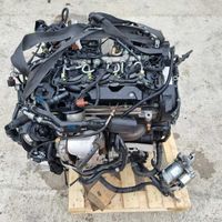 MOTOR DET 19TKM✔️2.0 TDI  AUDI A4 AUDI A5 Mit Anbauteile Niedersachsen - Braunschweig Vorschau