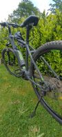 Kiliminjaro E Power 29 X Fact Hardtail Rheinland-Pfalz - Emmelshausen Vorschau