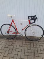 Barellia Rennrad 28" Basso Campagnolo vintage Fahrrad Mecklenburg-Vorpommern - Seebad Heringsdorf Vorschau