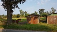 Verkaufe Baugrundstück in 04932 Prösen Großenhainer Straße Brandenburg - Röderland Vorschau