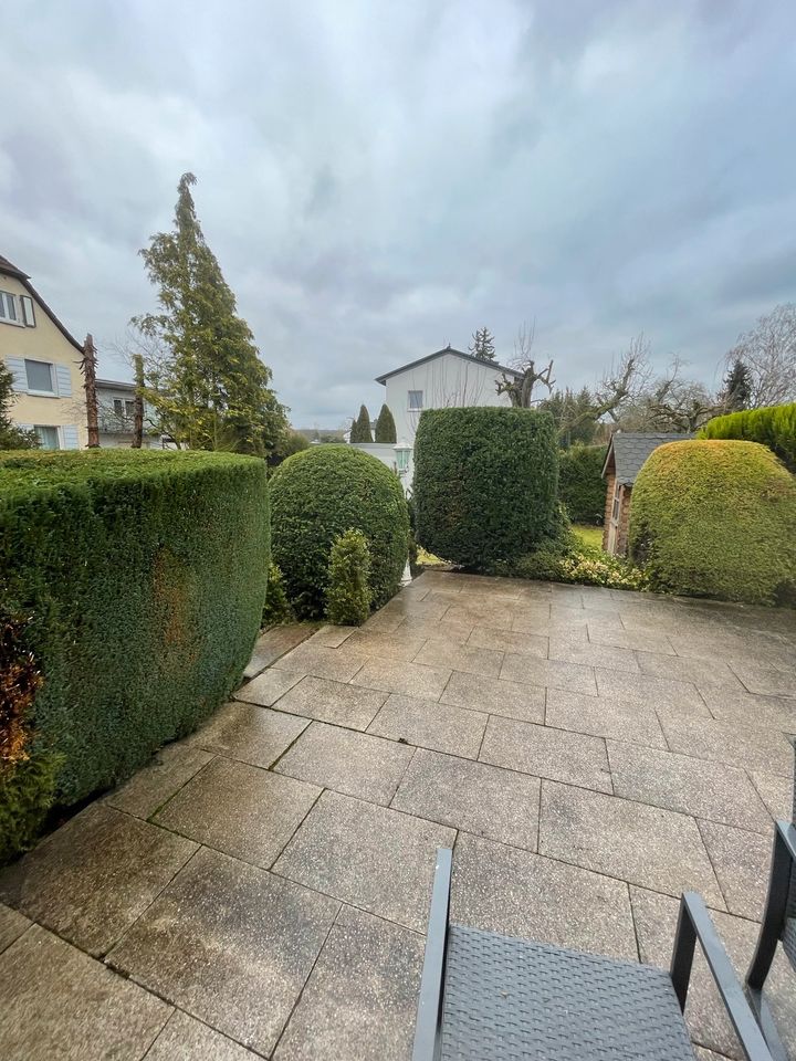 Hecke schneiden Garten Service Zaun Bau Bagger Arbeit in Mücke