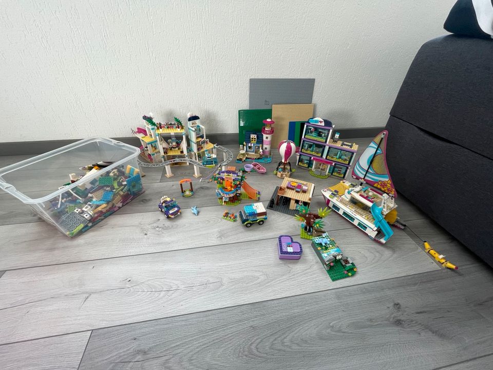 Lego Friends Paket in Treuen