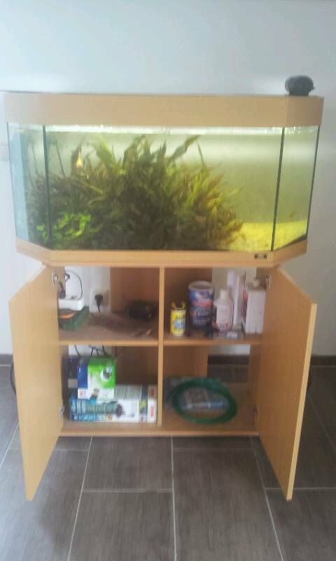 Juwel Aquarium mit Schrank,Beleuchung,Inneniflter u.Futterautomat in Biebesheim