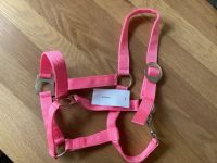 Ponyhalfter pink - NEU Bayern - Lechbruck Vorschau