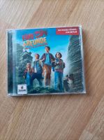 CD Fünf Freunde und das Tal der Dinosaurier Hessen - Bebra Vorschau