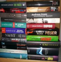 22 Bücher,  Krimis, Thriller - teilw. Hardcover Nordrhein-Westfalen - Harsewinkel - Marienfeld Vorschau