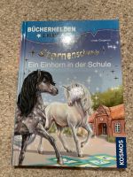 Bibi&Tina, Sternenschweif, Paula auf Klassenfahrt Diverse Bücher Bayern - Bad Kötzting Vorschau