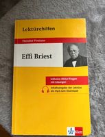 Lektürenhilfe Effi Briest Rheinland-Pfalz - Birkenfeld Vorschau