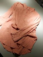 Crinkle Knitter Bluse Hemd H&M Koralle Saarland - Nohfelden Vorschau