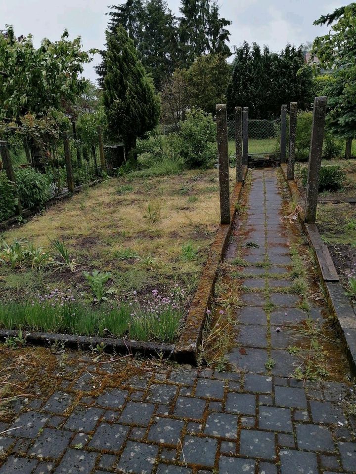 Rollrasen verlegen/Grundstück auffüllen/anlegen in Wadgassen