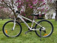 Specialized Hotrock 24 Zoll Kinderfahrrad Fahrrad Hessen - Lohfelden Vorschau