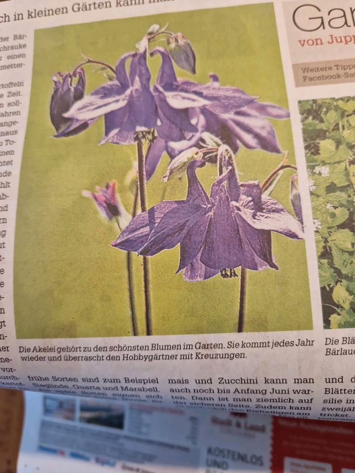 Blumensamen zu verschenken in Eggolsheim