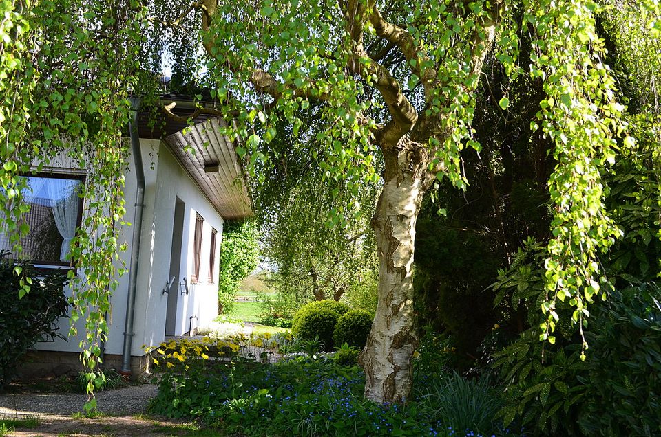 Winkelbungalow mit idyllischer Sonnenterrasse - nur 6 km vor Eckernförde in Osterby 