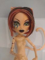 Monster High Toralei Stripe Fierce Rockers Nude Rheinland-Pfalz - Heimweiler Vorschau