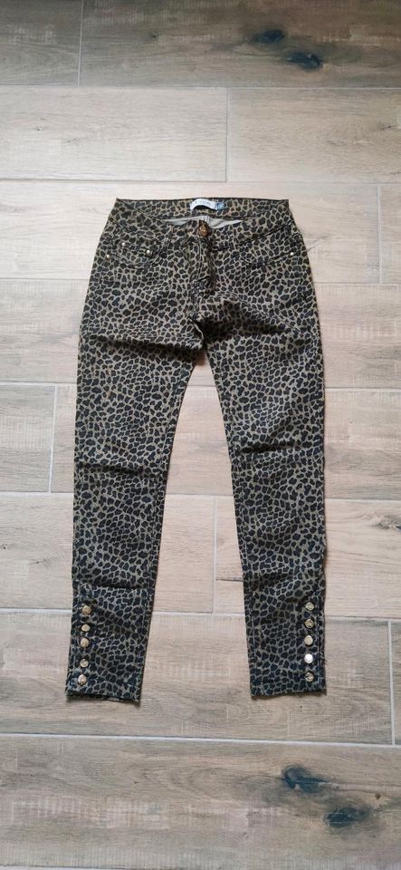 Boutique gr. 36 Jeanshose Leopard in Langenlonsheim