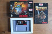 SNES Dungeon Master Berlin - Zehlendorf Vorschau