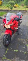 Honda  CBR 125RD Hessen - Mücke Vorschau