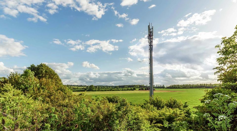 Wald Waldfläche Grundstück Wiese Acker zur PACHT - Ausbau 5G LTE in Eschau