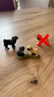 Schleich Mops Welpen & Mops Hündin Nordrhein-Westfalen - Hagen Vorschau