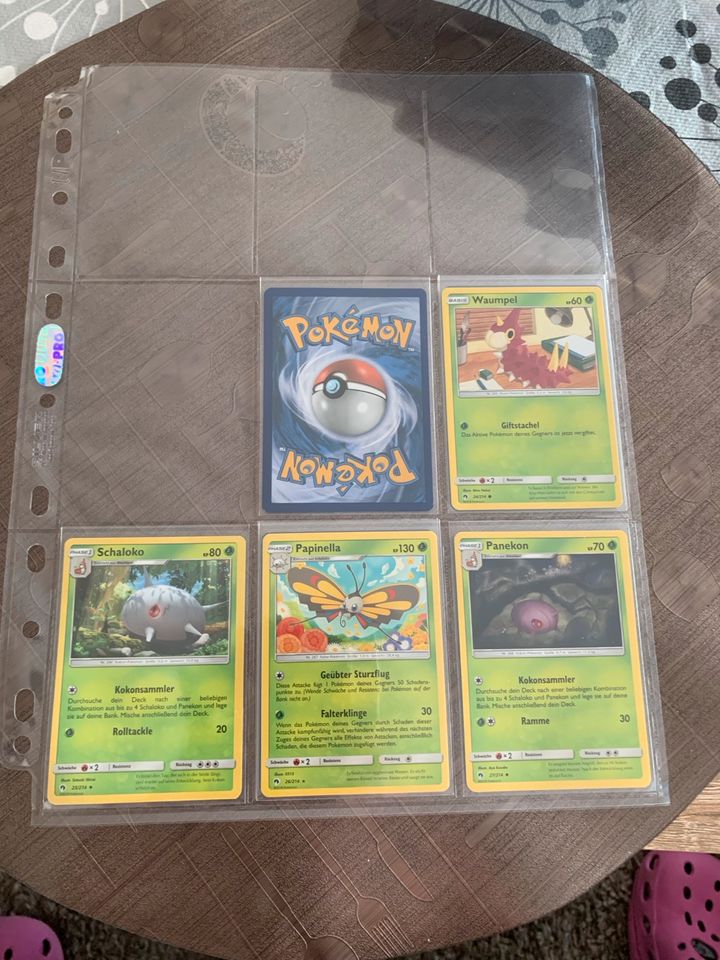 Pokémon Sammelkarten Sonne und Mond- Echo des Donners in Memmingen