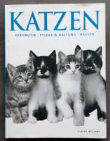 Buch Katzen Nordrhein-Westfalen - Pulheim Vorschau