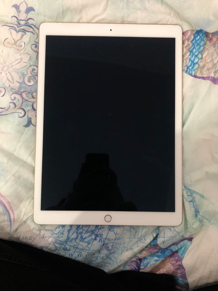 iPad Pro 128GB rose gold  mit neuer Hülle in Herne