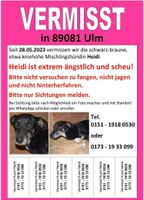 Hund Vermisst Bayern - Buch Vorschau
