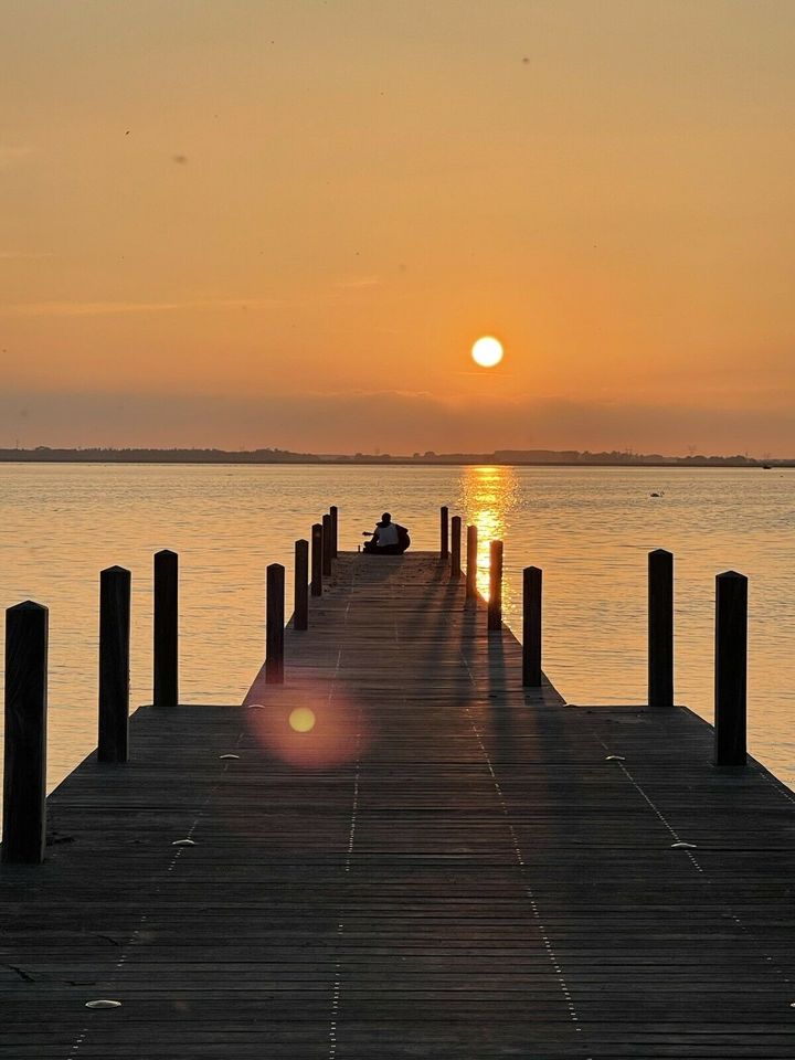 Urlaub im wunderschönen Ferienhaus ❤️ Holland Meer Sandstrand ⭐️ Hund Niederlande Veluwemeer in Essen