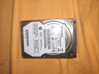 HDD 320 GB defekt Nordrhein-Westfalen - Recklinghausen Vorschau