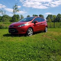 Ford Fiesta 1,4 Benzin Rheinland-Pfalz - Waldrach Vorschau