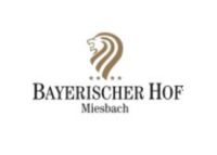 Empfangsmitarbeiter (m/w/d) Bayern - Miesbach Vorschau