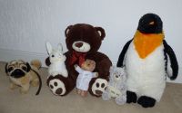 Kuscheltier:Teddy(Heunec,Beyer),Hund/Mops(Uni Toys),Pinguin,Hase Nordrhein-Westfalen - Brühl Vorschau