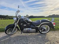 Suzuki Intruder VL 800 Volusia 52 PS TÜV 60049km Nordrhein-Westfalen - Mettmann Vorschau