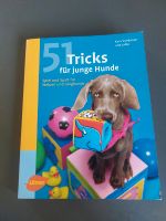 Buch '51 Tricks für junge Hunde' - ältere Ausgabe! Hessen - Immenhausen Vorschau