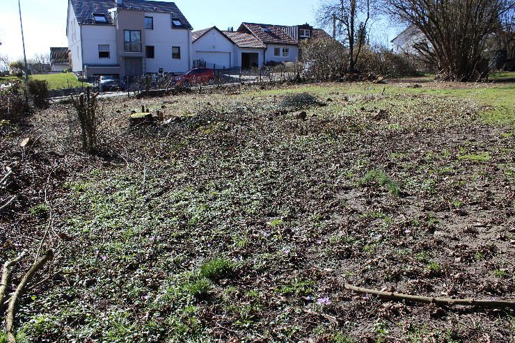 Schöner Bauplatz ohne Bauzwang! in Gablingen