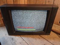 alter Vintage Röhrenfernseher TV 65cm - funktioniert Bayern - Grünenbach Allgäu Vorschau