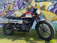 Triumph Scrambler 900 EFI Bayern - Sonnefeld Vorschau