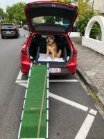 Travelmat Hundebox / Transport / Autobox Kombi Seat Leon, Oktavia Baden-Württemberg - Brackenheim Vorschau