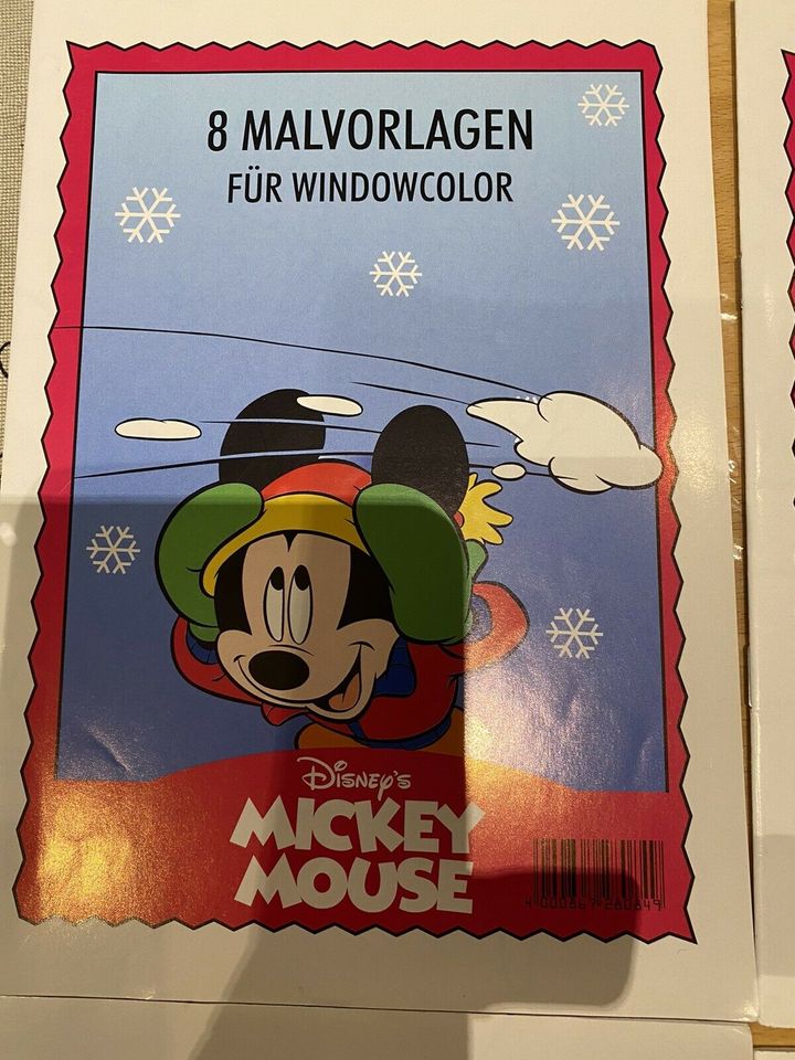 5 Bücher Windows Color Mickey Mouse, Winnie Poo in Bielefeld