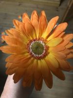 7x Gerbera, d= 10cm, orange neu Deko Blume Kunstblume Sachsen - Bannewitz Vorschau