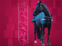 MIETE | 〽️ BEMER 〽️ Horse SET Decke + 2 Gamaschen mieten | leihen | ausleihen | Verleih | Vermietung | 0€ Kaution | Gratis Versand & Rückversand | PayPal & Käuferschutz Hessen - Ortenberg Vorschau