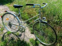 Mixte Damenrad Damenfahrrad Cityrad Vintage Rad Brandenburg - Potsdam Vorschau