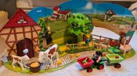 Playmobil Bauernhof Lübeck - St. Gertrud Vorschau